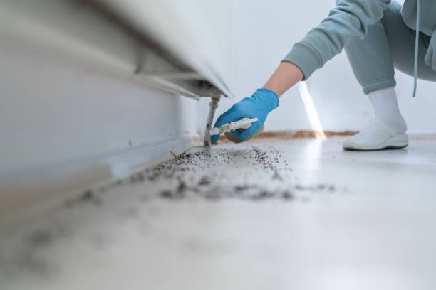 Pest Control Cost in Jones Creek, TX